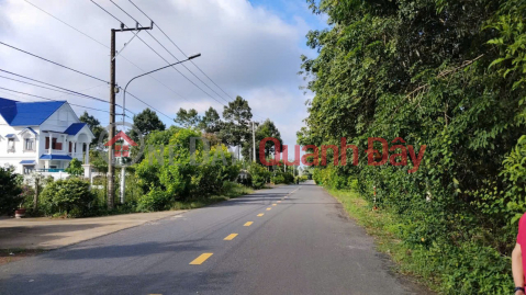 ĐẤT ĐẸP- GIÁ TỐT BÁN NHANH 2 LÔ ĐẤT ĐẦU TƯ LÀ SINH LỜI tại huyện Bàu Bàng, Bình Dượng _0