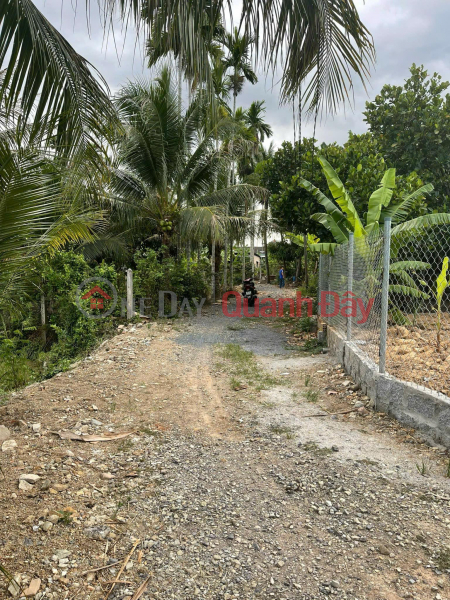 Property Search Vietnam | OneDay | Residential Sales Listings, LAND FOR SALE IN DIEN TOAN COMMUNE, DIEN KHANH DISTRICT, KHANH HOA PROVINCE