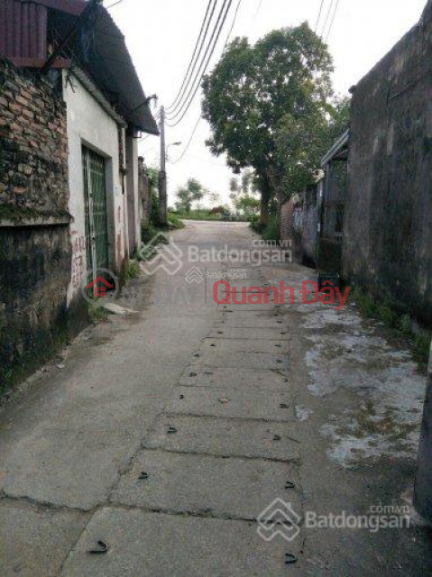 ÁN ĐẤT TỔ 15 ĐỒNG MAI – HÀ ĐÔNG, GIÁ THỎA THUẬN – VỊ TRÍ ĐẸP _0