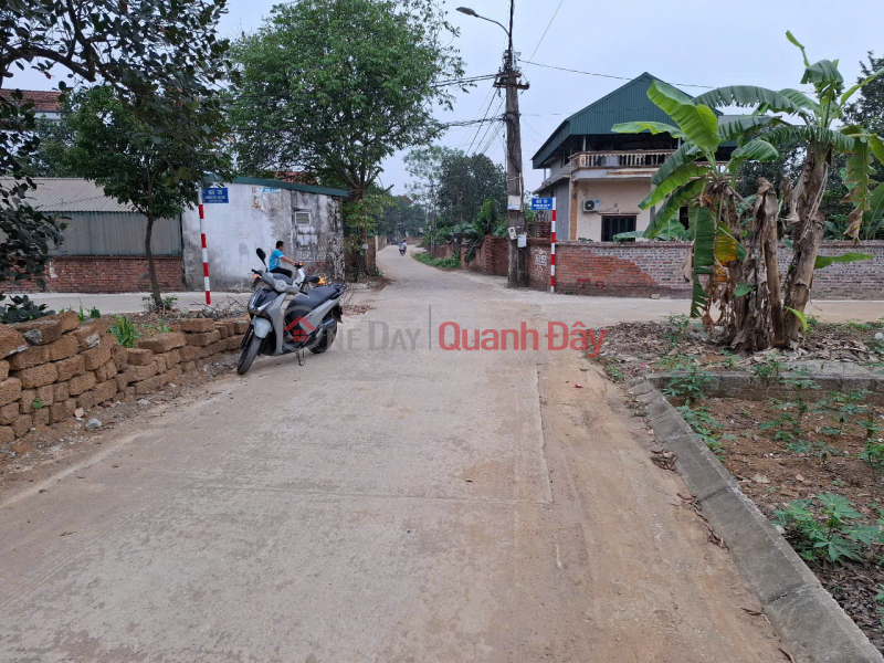 Property Search Vietnam | OneDay | Residential, Sales Listings, Owner selling quickly a prime plot of land on the main road of Doi Sen Hamlet, Binh Yen Commune, Thach That District, Hanoi.