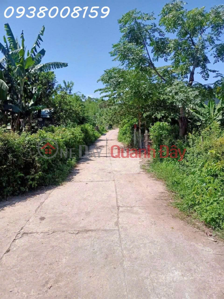 Property Search Vietnam | OneDay | Residential Sales Listings Residential Land Plot For Sale In Dong Lam Village, Dai Quang, Dai Loc, Quang Nam