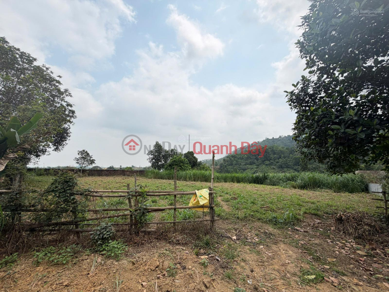 OWNER SELLING 1,080M2 LAND WITH TITLE DEED, 30M FRONTAGE, FULL AMENITIES, LOCATED RIGHT ON TL87A - YEN BAI Sales Listings