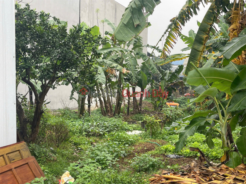 ĐẤT ĐẸP – GIÁ TỐT – CHÍNH CHỦ CẦN BÁN NHANH đất phường Vĩnh Yên gần kđt Nam Vĩnh Yên, Vĩnh Phúc | Việt Nam Bán, đ 4,75 tỷ