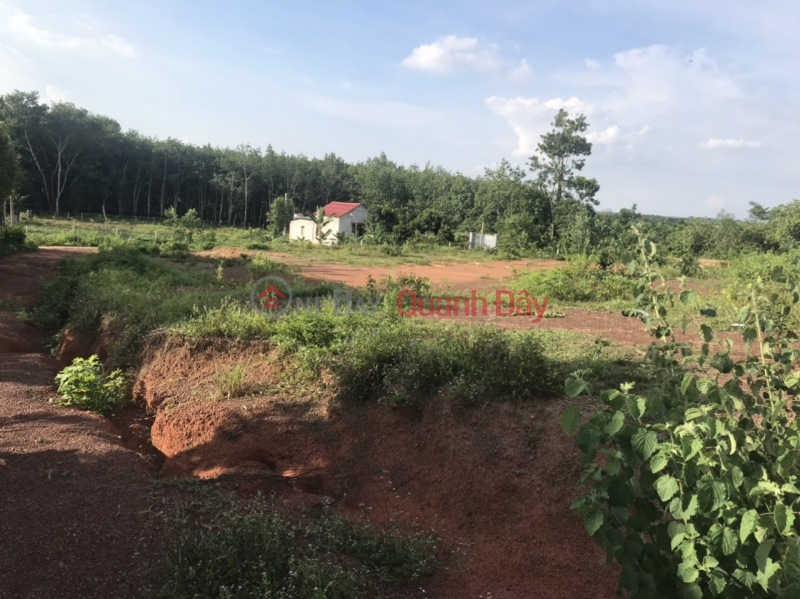 đ 630 Million BEAUTIFUL LOT - ORIGINAL - EXTREMELY FLOW PRICE In Minh Tam, Hon Quan, Binh Phuoc Province