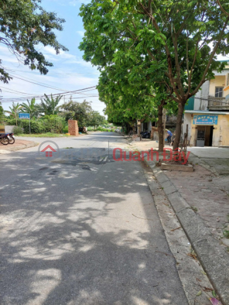 Selling resettlement land in Vinh Quynh, Thanh Tri, divided into lots, sidewalks, and roads. Sales Listings