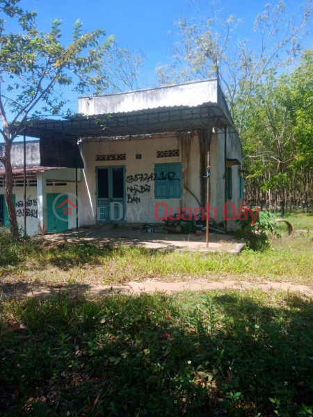 Property Search Vietnam | OneDay | Residential | Sales Listings | Owner Needs to Sell a Beautiful Land Plot in Lac Tanh Town, Tanh Linh District, Binh Thuan