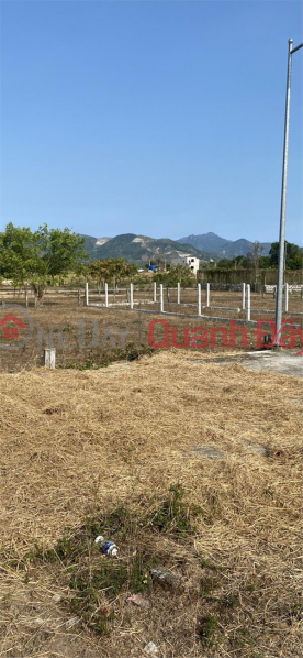 OWN A LOT OF LAND NOW - GOOD PRICE IN Binh Loc Dien Khanh Commune, Khanh Hoa Sales Listings