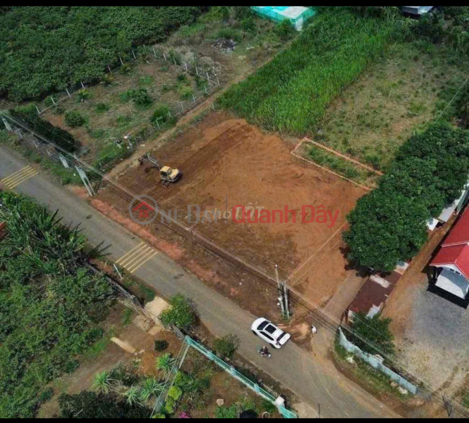 BEAUTIFUL LAND - FRONTAGE - Owner Needs to Sell Land Lot on National Highway 1, Trung Hoa Commune, Trang Bom, Dong Nai, Vietnam Sales | đ 795 Million