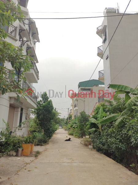 Property Search Vietnam | OneDay | Nhà ở Niêm yết bán Đất dịch vụ Lại Yên, Hoài Đức 91m2, 5.25 tỷ Hoài Đức
