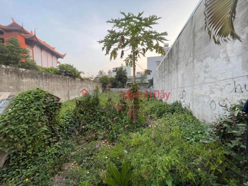 [O2265] Huge Plot of Land Near Go Vap - Extremely Rare 10M Wider at the Back Sales Listings