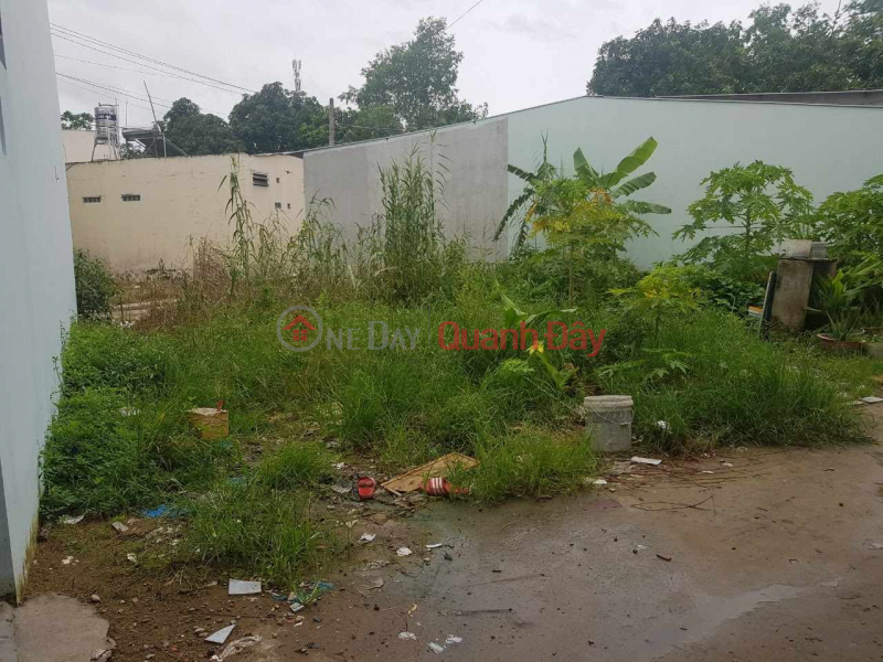 Property Search Vietnam | OneDay | Residential Sales Listings LAND FOR SALE ONLY 300M FROM BA BO MARKET, Long Tuyen Ward, Binh Thuy District, Can Tho City