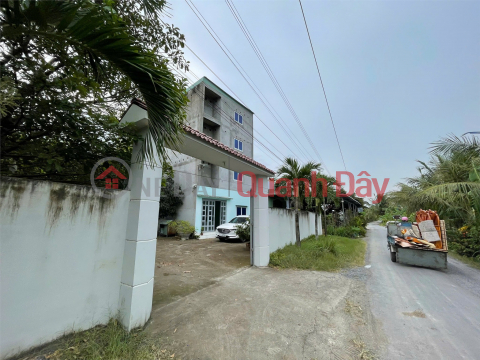 Land for sale with 5-year bird's nest house gift in Go Cong, Tien Giang. Vacation and income, 50km from Ho Chi Minh City _0