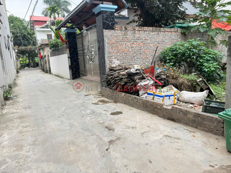 Property Search Vietnam | OneDay | Nhà ở, Niêm yết bán | Bán 54m2 đất tổ 8 Quang Minh, gần đường Võ Văn Kiệt, và siêu thị BigC, oto đỗ trong nhà