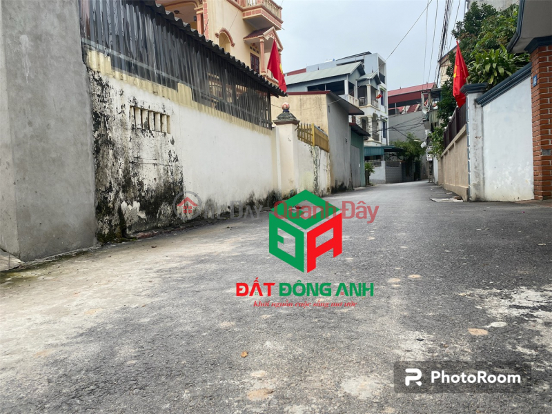 Property Search Vietnam | OneDay | Residential Sales Listings, Selling land, ceremony, Tien Duong, Dong Anh, road open to trucks