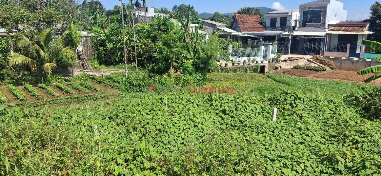 ĐẤT MẶT TIỀN TRƯỜNG CHINH – 100M² – CHỈ 2.4 TỶ – CƠ HỘI VÀNG CHO NHÀ ĐẦU TƯ! | Việt Nam Bán | đ 2,4 tỷ