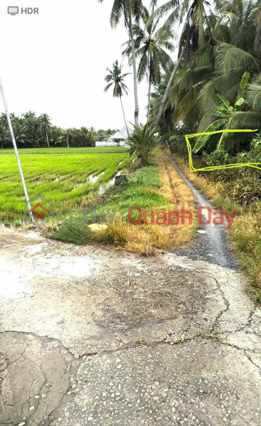 Property Search Vietnam | OneDay | Residential | Sales Listings, Owner Needs to Sell a Beautiful Land Plot in Trung Ngai Commune, Vung Liem District, Vinh Long