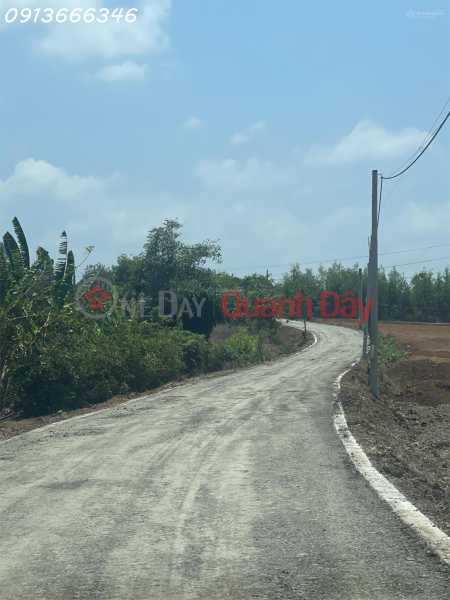 Property Search Vietnam | OneDay | Residential | Sales Listings LAND FOR SALE IN LONG TAN COMMUNE (now Dat Do Commune, Ho Chi Minh City) with a 43m road frontage. Price for the entire plot.