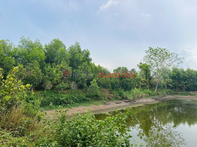 Owner selling 20,000m2 of land in Bau Lam Commune, Xuyen Moc District, Ba Ria Vung Tau Province. Sales Listings