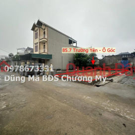 PRICE ONLY 2TY6 TO OWN A LOT OF LAND AT TRUONG YEN-CHUONG MY _0