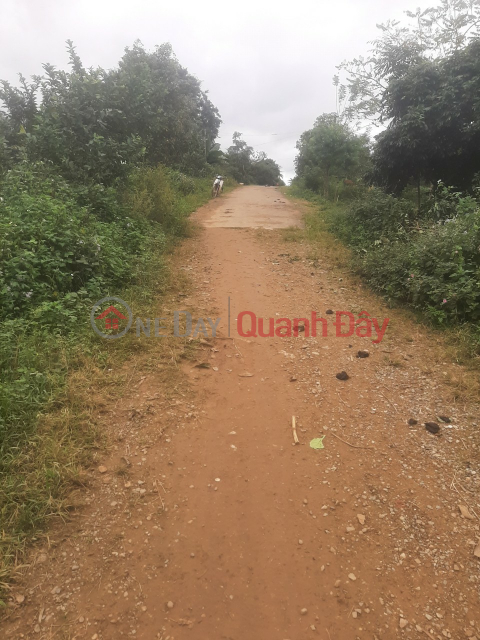 OWNER NEEDS TO SELL LAND LOT QUICKLY In Eaka District, Dak Lak _0