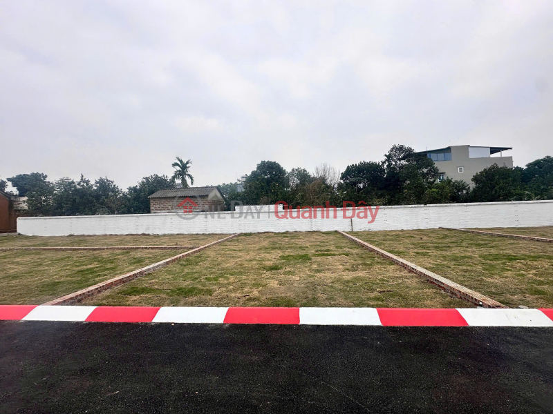 Bán đất thổ cư mặt đường 420 – vị trí ở tiện, kinh doanh tốt | Việt Nam | Bán, đ 3,8 tỷ