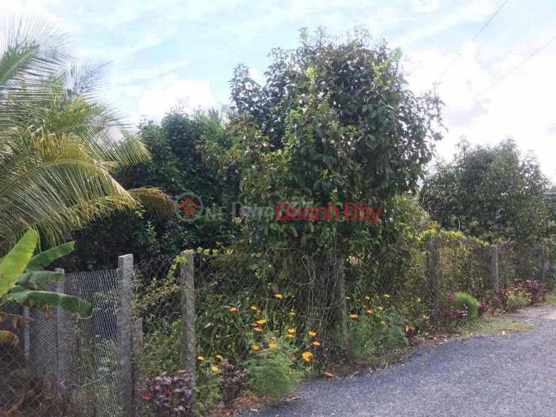 OWNER'S LAND - 2 CONNECTING LOTS - Lien Ap My Phu 1, Tuong Loc Commune, Tam Binh District, Vinh Long | Vietnam | Sales, đ 1.6 Billion
