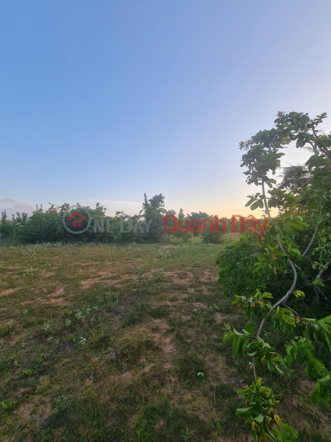 BEAUTIFUL LAND - GOOD PRICE - Urgent Sale Land Lot Beautiful Location In Hong Phong Commune, Bac Binh, Binh Thuan _0