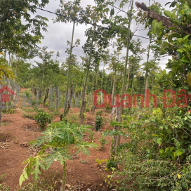 CHÍNH CHỦ CẦN BÁN GẤP LÔ ĐẤT VỊ TRÍ ĐẸP TẠI Thôn 2 xã eakao, Buôn Ma Thuột, Đắk Lắk _0