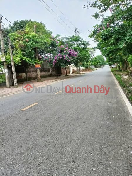 Property Search Vietnam | OneDay | Residential, Sales Listings Land in the center of Xuan Hoa ward, cool hill view - Large road frontage, nearly 150m²