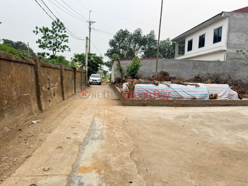Land for sale in Kim Hoa, Me Linh, Hanoi. Corner lot, 2 frontages. Located close to Ring Road 4., Vietnam | Sales | đ 3.7 Billion