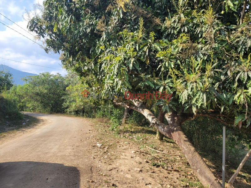 Property Search Vietnam | OneDay | Residential | Sales Listings | Beautiful Land - Good Price - Owner Needs to Sell Land Lot in Beautiful Location in Cau Ba Commune, Khanh Vinh