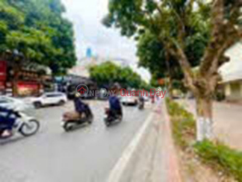 Property Search Vietnam | OneDay | Residential Sales Listings, BEAUTIFUL LAND - GOOD PRICE - LAND FOR SALE ON TRUONG LAM STREET, LONG BIEN DISTRICT, HANOI CITY