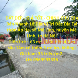 BEAUTIFUL LAND - GOOD PRICE - OWNERS Need to Sell Land Lot in Prime Location in Me Linh, Hanoi Quickly _0