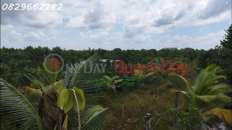 Bán Đất Vườn Cây Ăn Trái Xã Hòa Long, Đồng Tháp. DT 44000m2, SHR, Giá 22 Tỷ. _0