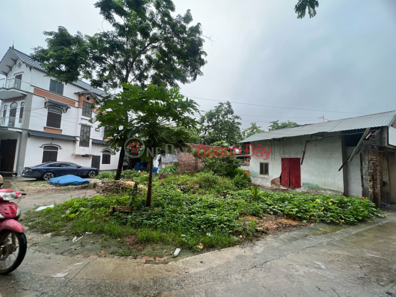 OWNER SELLING LAND LOT AT DONG PHUONG YEN-CHUONG MY-HANOI Sales Listings