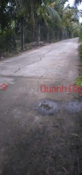 PRIME LAND - GOOD PRICE - For Quick Sale In My Luong Hamlet, My Phong Commune, My Tho City, Tien Giang, Vietnam | Sales, ₫ 2.6 Billion