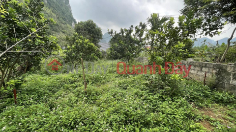 Transfer of 2 plots x158.8m2 full residential area, frontage 15m x 2 in Thanh Son commune, Luong Son, Hoa Binh _0