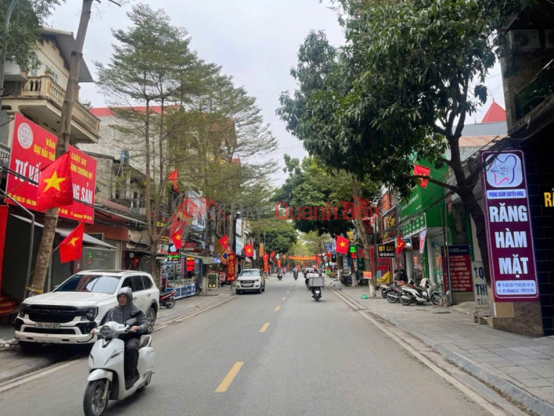 OWNER NEEDS TO SELL 50M2 LAND LOT IN CHUC SON CENTER - CHUONG MY - HANOI, Vietnam Sales | đ 10 Million