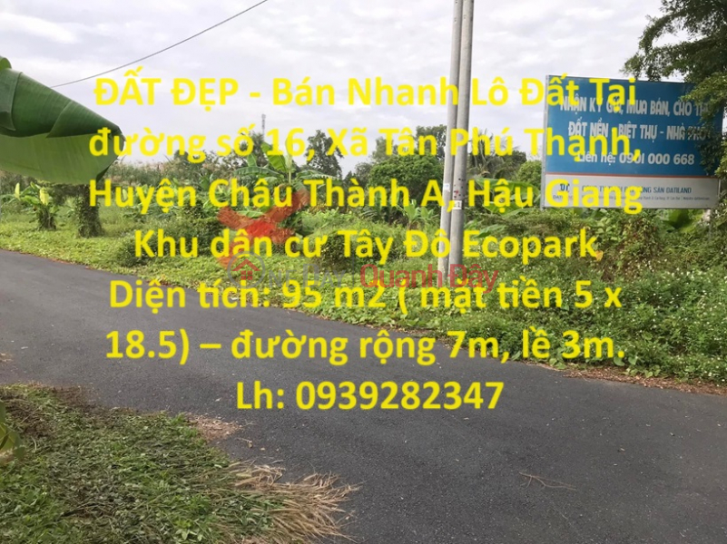 BEAUTIFUL LAND - Quick Sale Land Lot At Street 16, Tan Phu Thanh Commune, Chau Thanh A District, Hau Giang Sales Listings