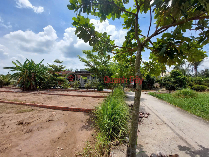 Property Search Vietnam | OneDay | | Niêm yết bán BÁN LÔ ĐẤT THỔ CƯ VỊ TRÍ ĐẸP TẠI ẤP 6 XÃ TÂN TRẠCH, CẦN ĐƯỚC, LONG AN. LH:0903187068.