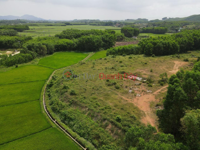 INVEST IN PROFIT NOW - Own a Farm Immediately with Residential Land in Hoa Phu Commune, Hoa Vang District, Da Nang Vietnam, Sales, đ 3.2 Billion
