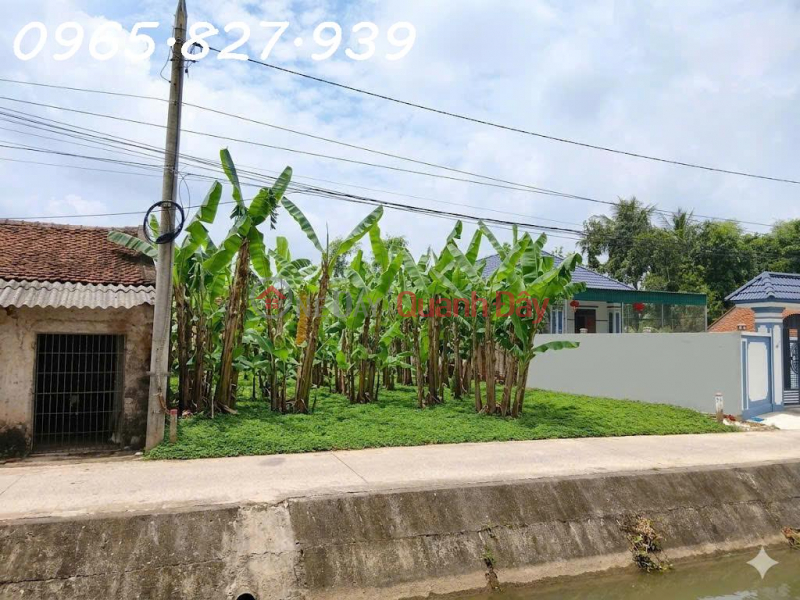 Owner needs to sell a plot of land in Dong Tien ward, Thanh Hoa city, area 667m2, investment price. Sales Listings