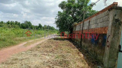 ĐẦU TƯ SINH LỜI – CẦN BÁN GẦN 1.000M² LÔ ĐẤT VƯỜN, Đ. Tam Đa, P. Long Phước, Q.9, TP.HCM _0
