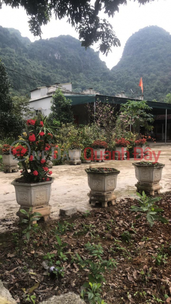 Property Search Vietnam | OneDay | Residential Sales Listings, LAND FOR SALE WITH HOUSE AND FARM - OWNER FOR SALE LOT OF LAND - BEAUTIFUL - INVESTMENT PRICE