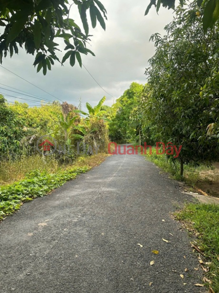 NHÀ ĐẸP – GIÁ TỐT- CHÍNH CHỦ BÁN NHÀ Tại ấp Mỹ Thạnh, xã Mỹ Xương(cũ),Cao Lãnh, Đồng Tháp Việt Nam Bán | đ 1,65 tỷ