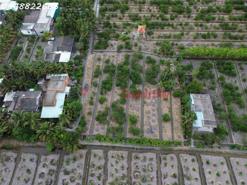 đ 750 Million, A prime property - Beautiful residential land for sale in Hamlet 5, Thanh Hoa, Ben Luc, area 195m2, ideal for investment.