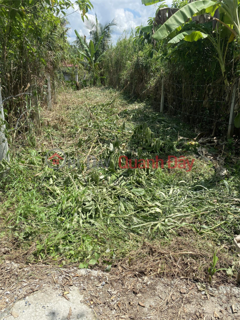 BEAUTIFUL LAND - GOOD PRICE - Land Lot For Sale Prime Location In Phong Dien District - Can Tho _0