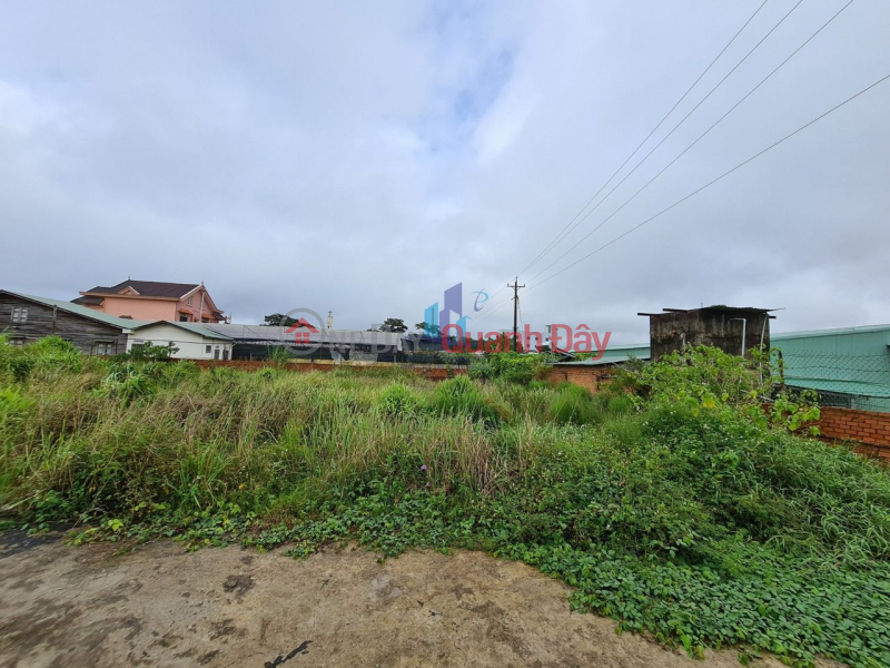 Flat vacant land, right on the road, convenient for building houses, Sales Listings