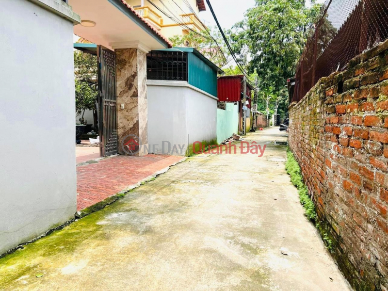 Property Search Vietnam | OneDay | Residential | Sales Listings Need to sell quickly 67m2 plot of land, at Hanh Lac, Nhu Quynh, Van Lam, motorway, convenient transportation