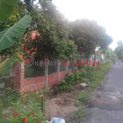 OWNER Need to Sell Land on the road and river in An Hiep Hamlet, Loc Hoa Commune, Long Ho, Vinh Long _0